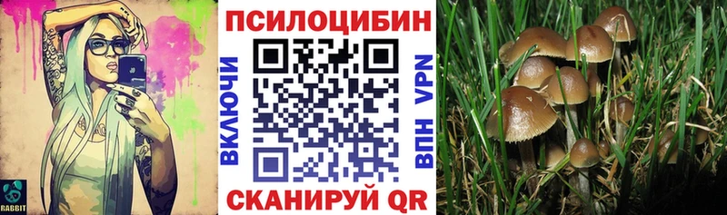 Купить закладки  Мыски  Псилоцибиновые грибы Psilocybine cubensis 